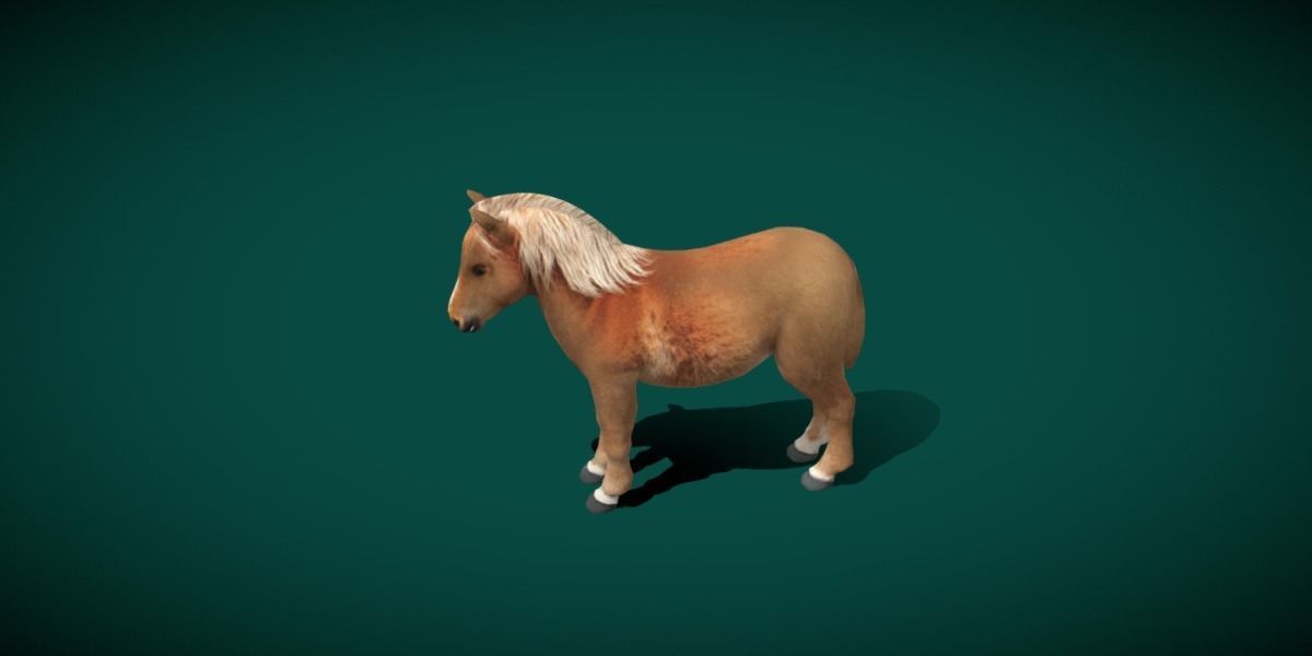 Pony Small Horse Animal Low-poly 3D model_18