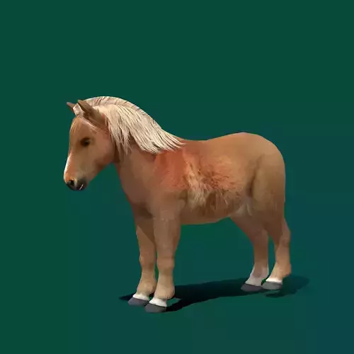 Pony Small Horse Animal Low-poly 3D model