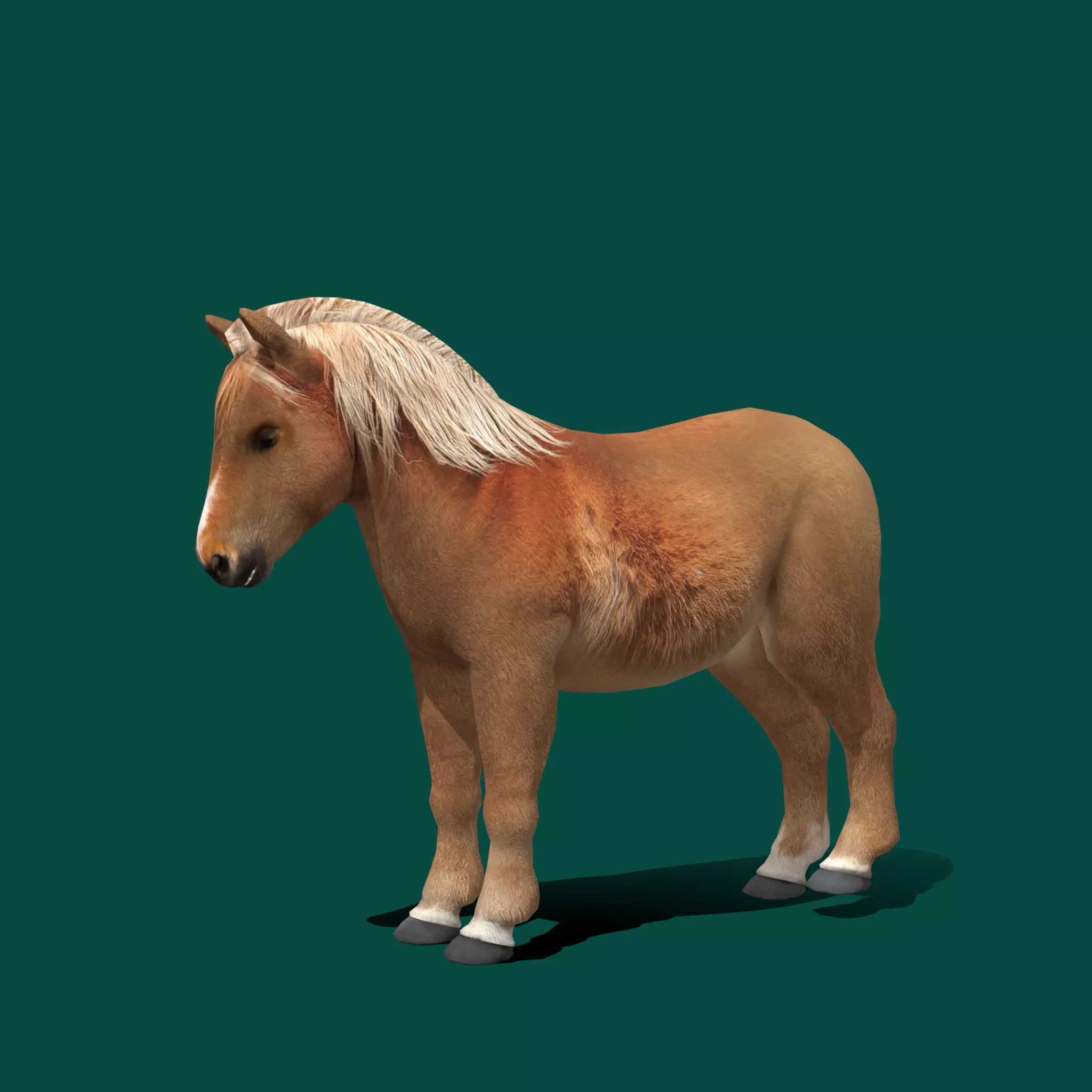 Pony Small Horse Animal Low-poly 3D model_0