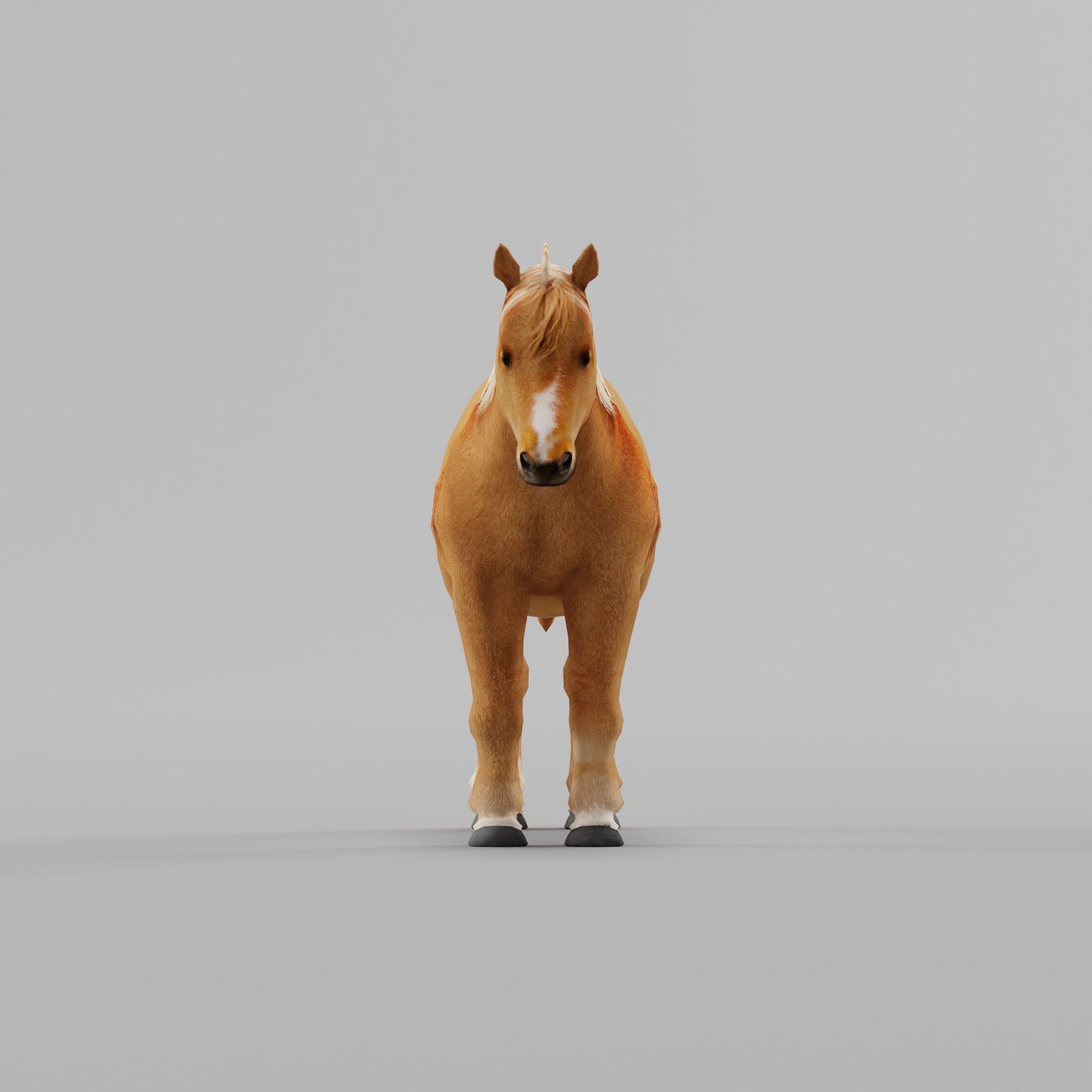 Pony Small Horse Animal Low-poly 3D model_3