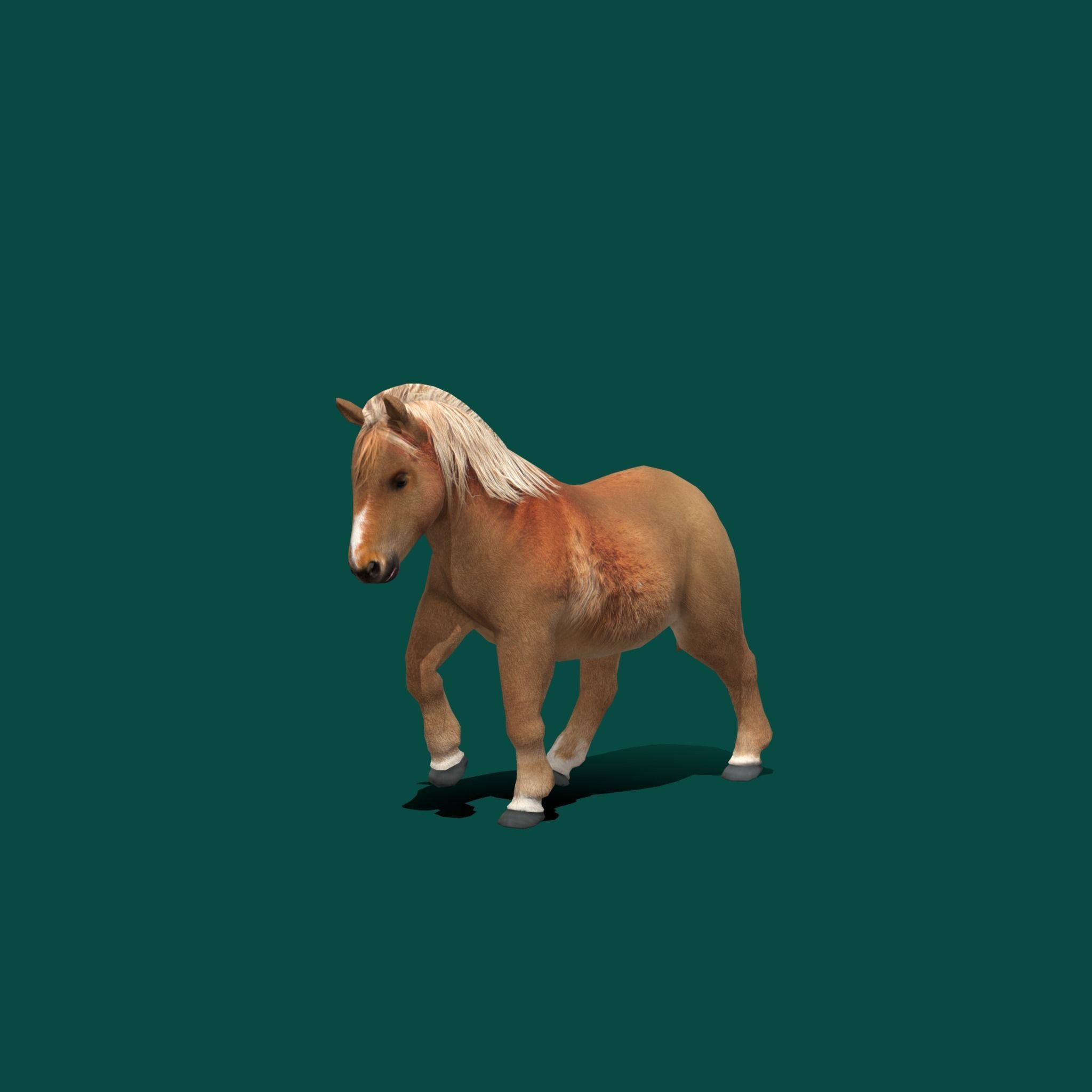 Pony Small Horse Animal Low-poly 3D model_19