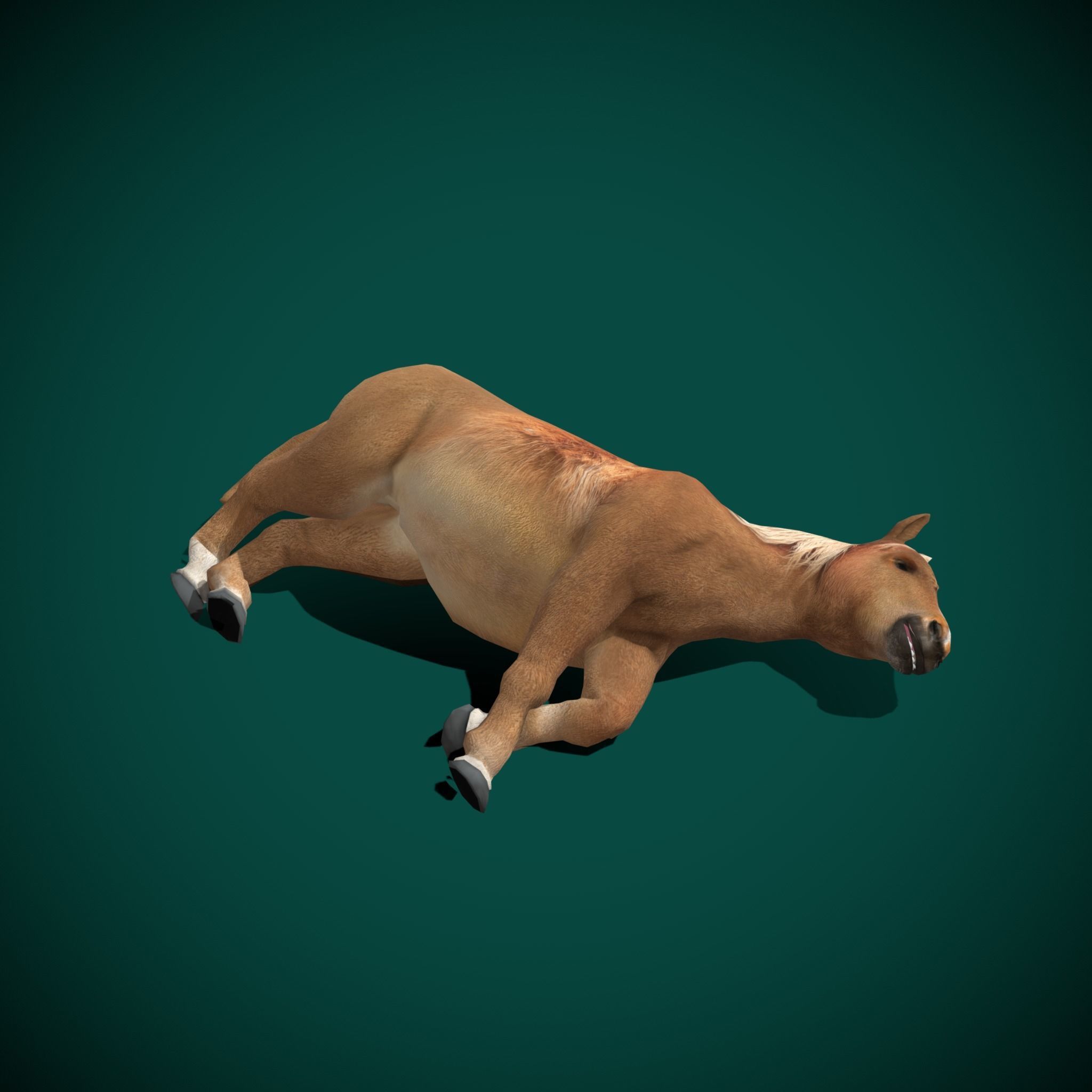 Pony Small Horse Animal Low-poly 3D model_17