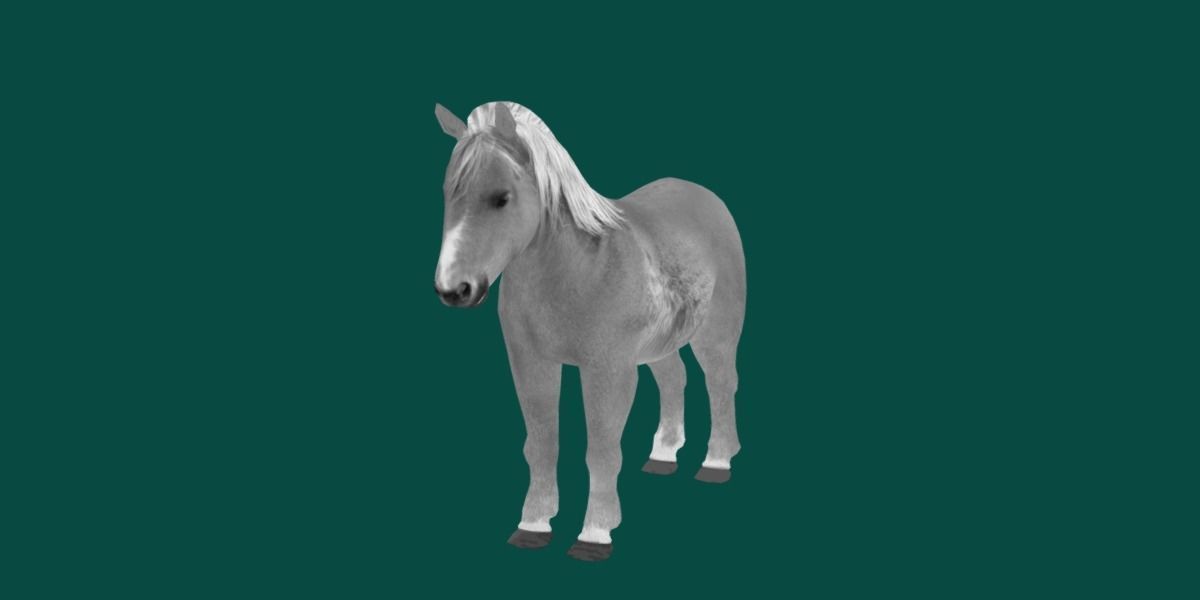 Pony Small Horse Animal Low-poly 3D model_26