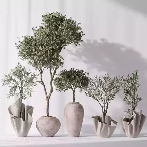 Mission Olive Tree Indoor Vase 01 3D model