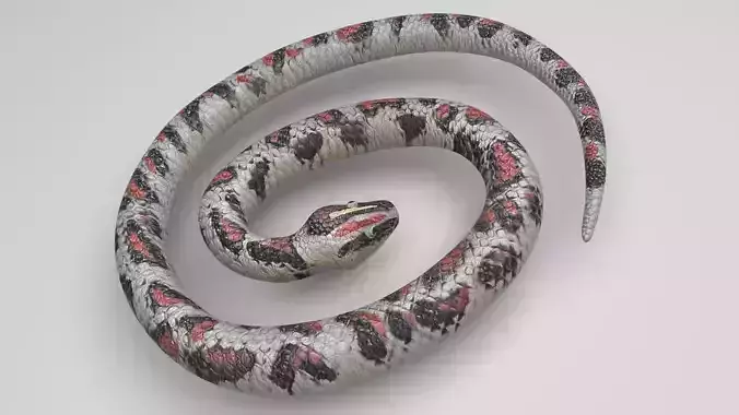 Rubber Snake 3D model