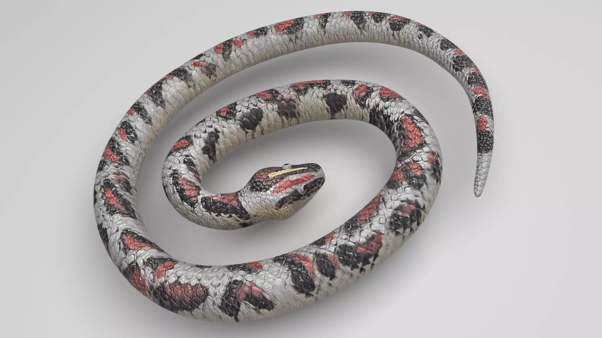 Rubber Snake 3D model