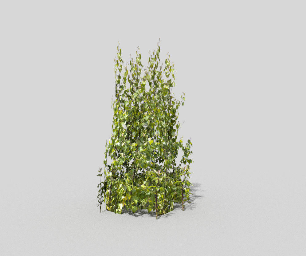 low poly shrub ivy plant Low-poly 3D model_1
