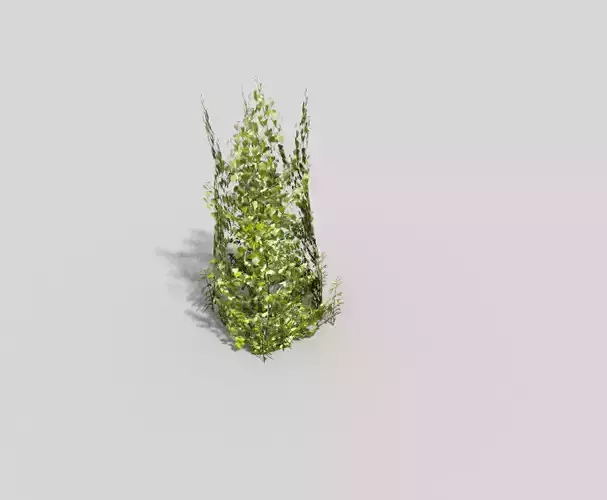 low poly shrub ivy plant