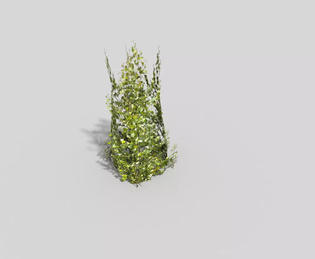 low poly shrub ivy plant Low-poly 3D model_0