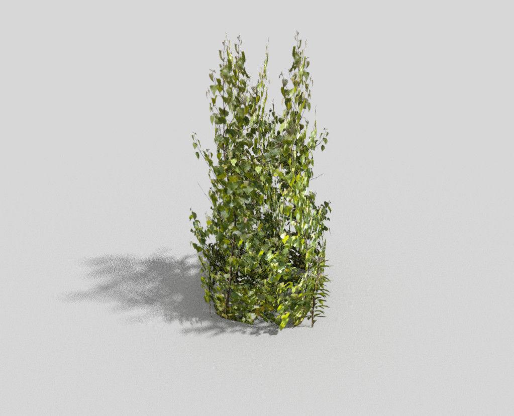 low poly shrub ivy plant Low-poly 3D model_4