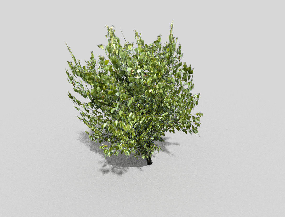 low poly tree Low-poly 3D model_2