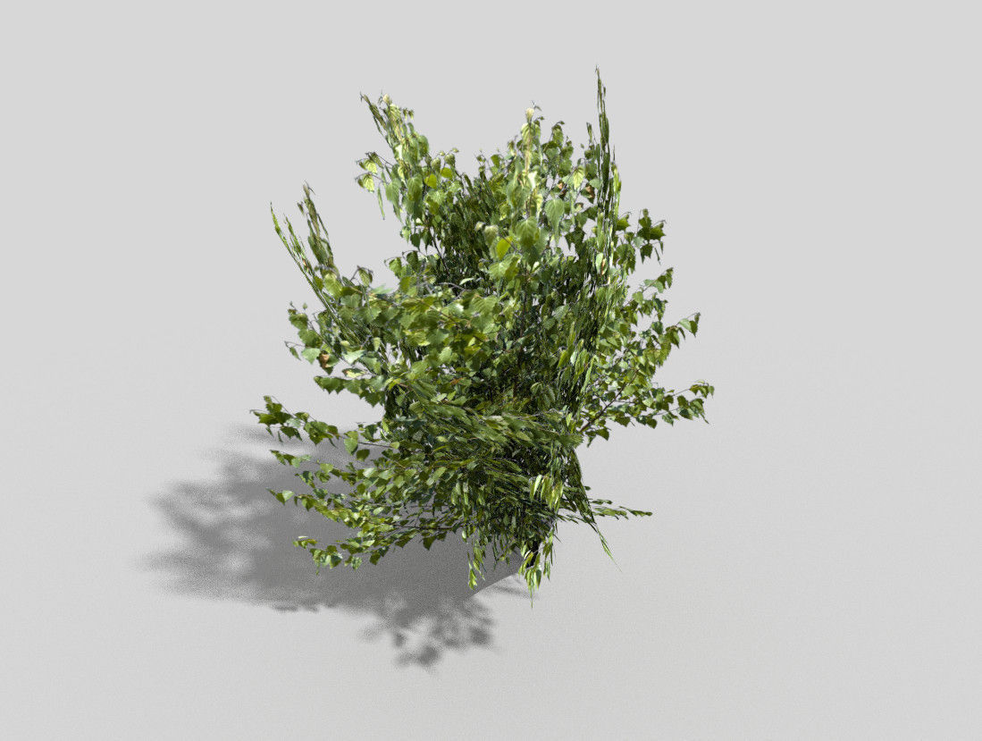 low poly tree Low-poly 3D model_4