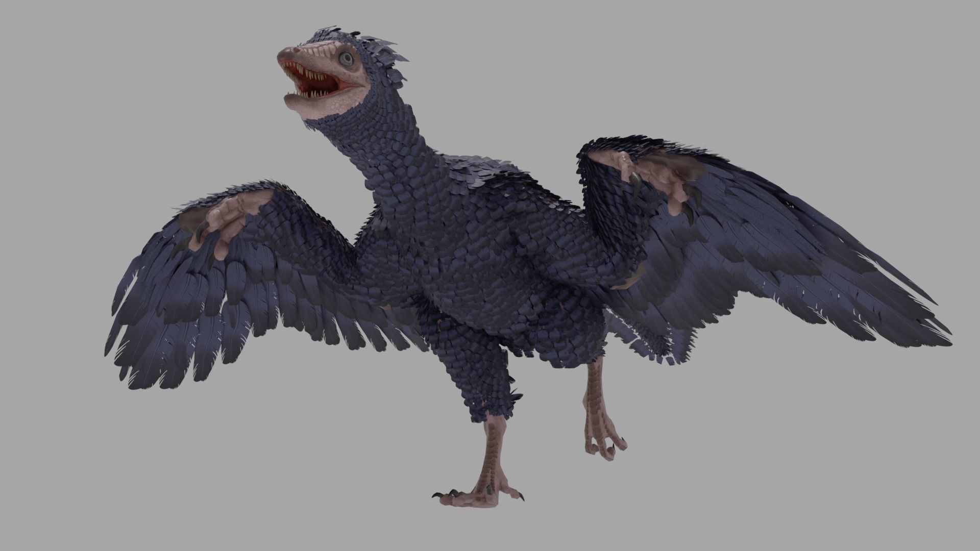 Archaeopteryx Free low-poly 3D model_3