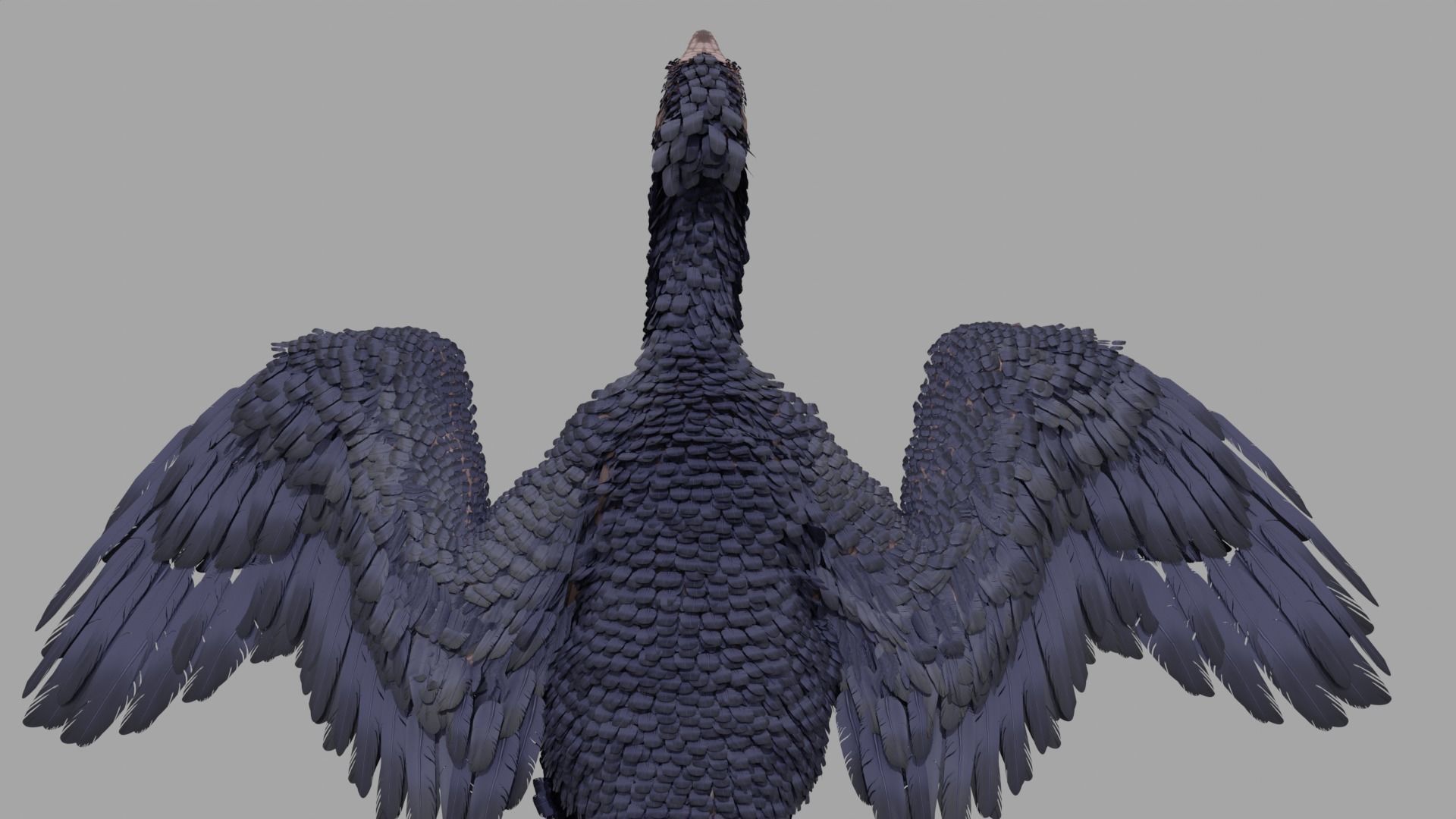 Archaeopteryx Free low-poly 3D model_8