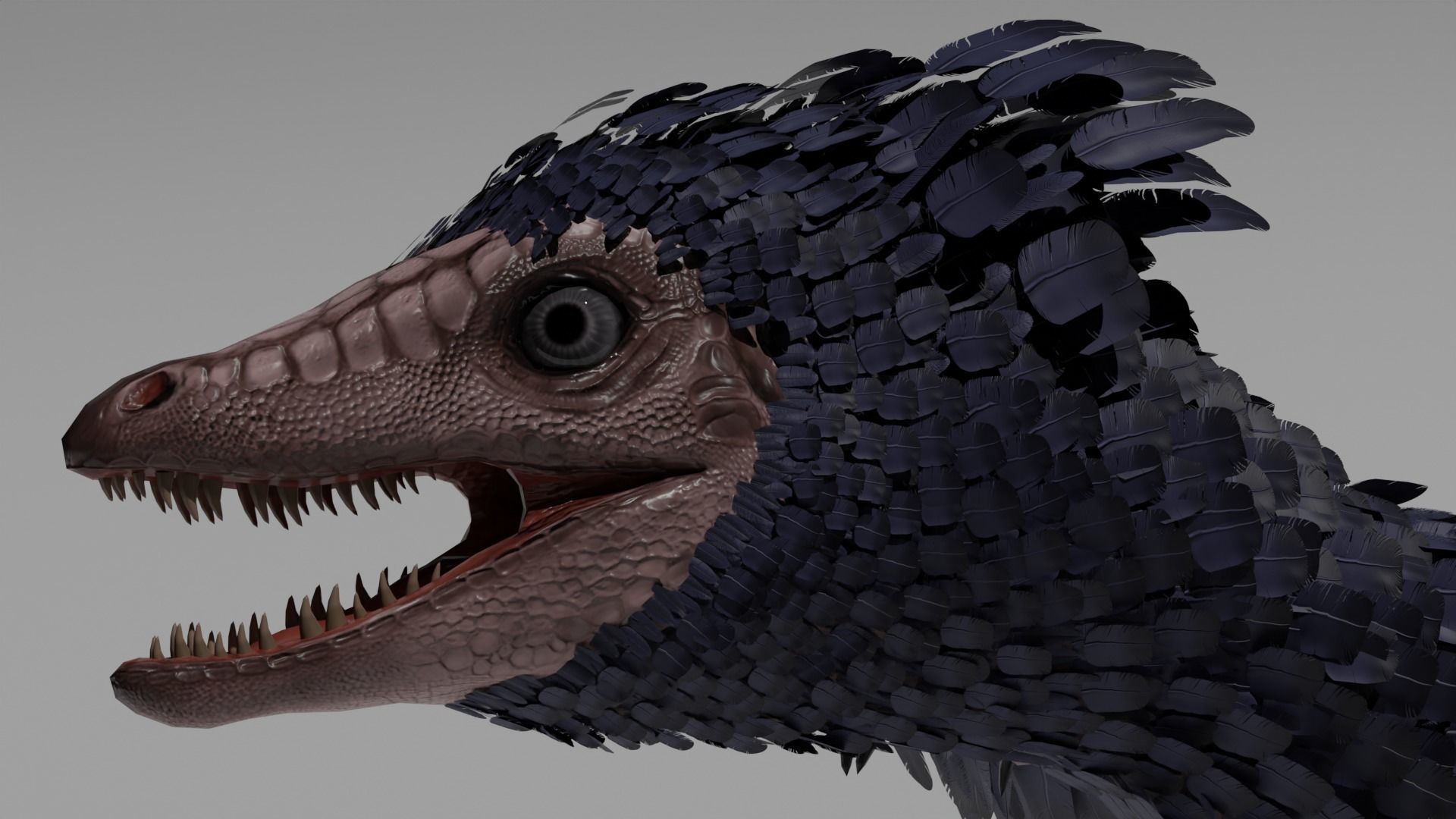 Archaeopteryx Free low-poly 3D model_7