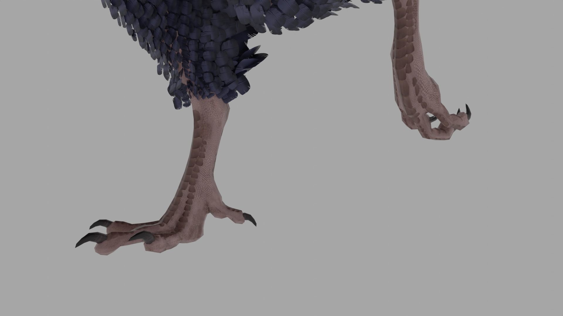 Archaeopteryx Free low-poly 3D model_2