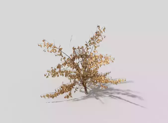 low poly shrub dried plant