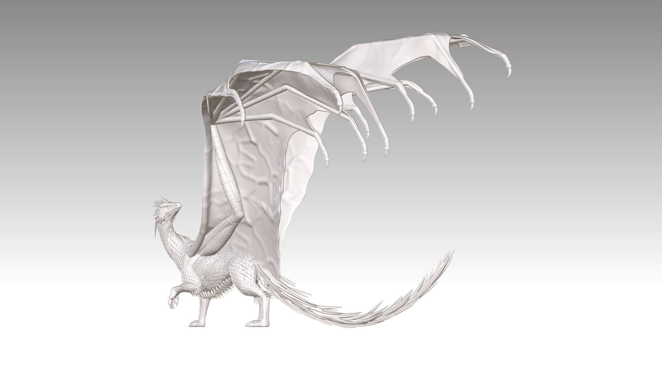 dragon 3D print model_15