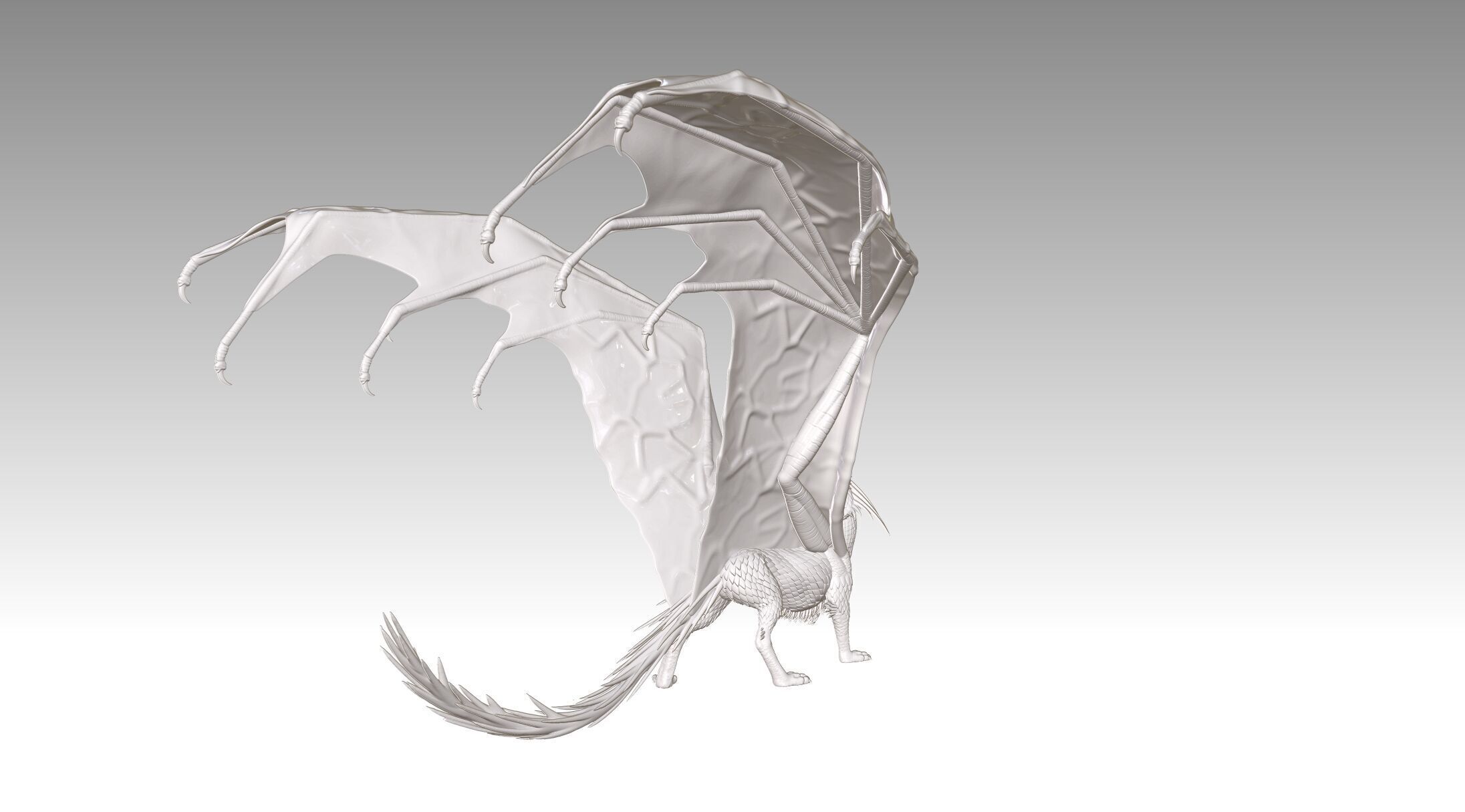 dragon 3D print model_9