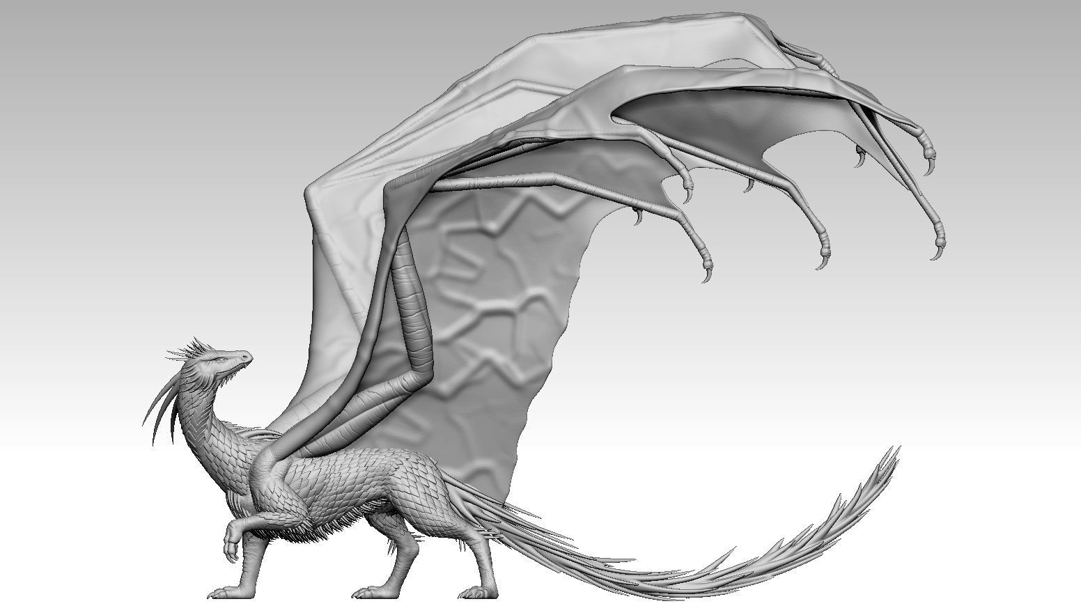dragon 3D print model_3
