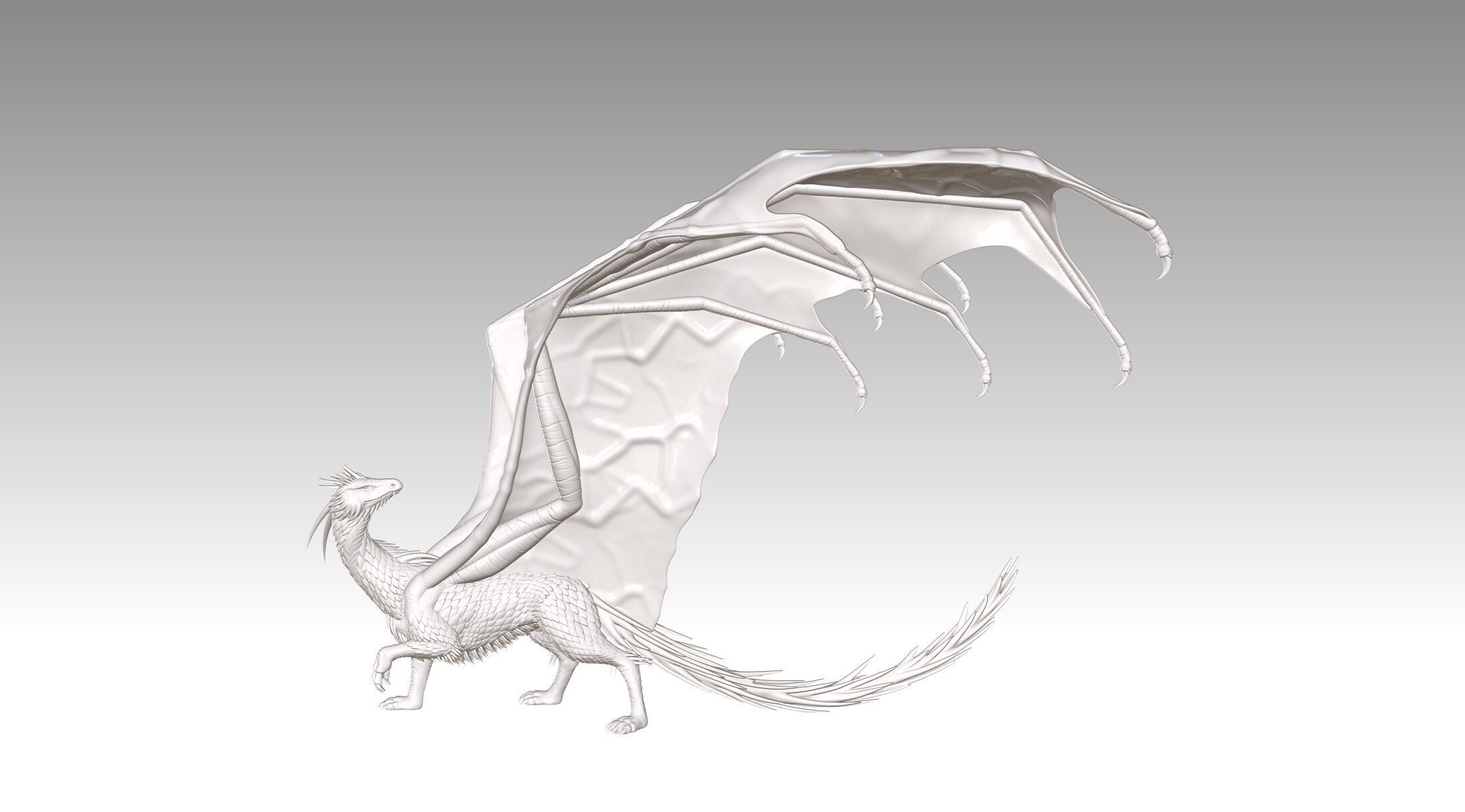 dragon 3D print model_1