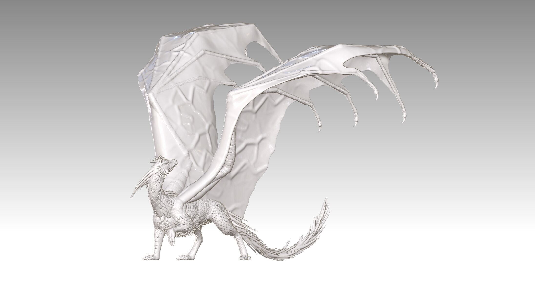 dragon 3D print model_10
