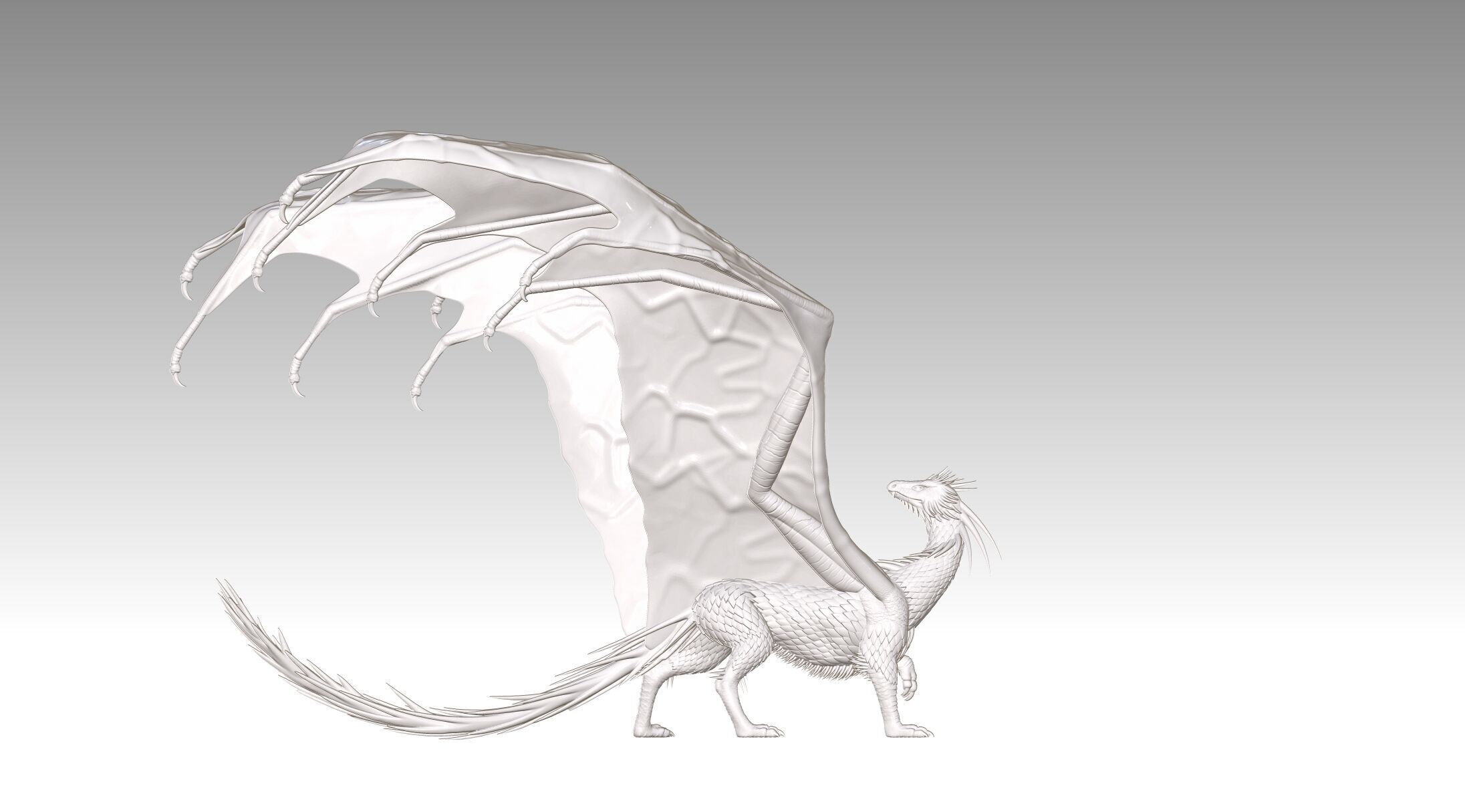 dragon 3D print model_14