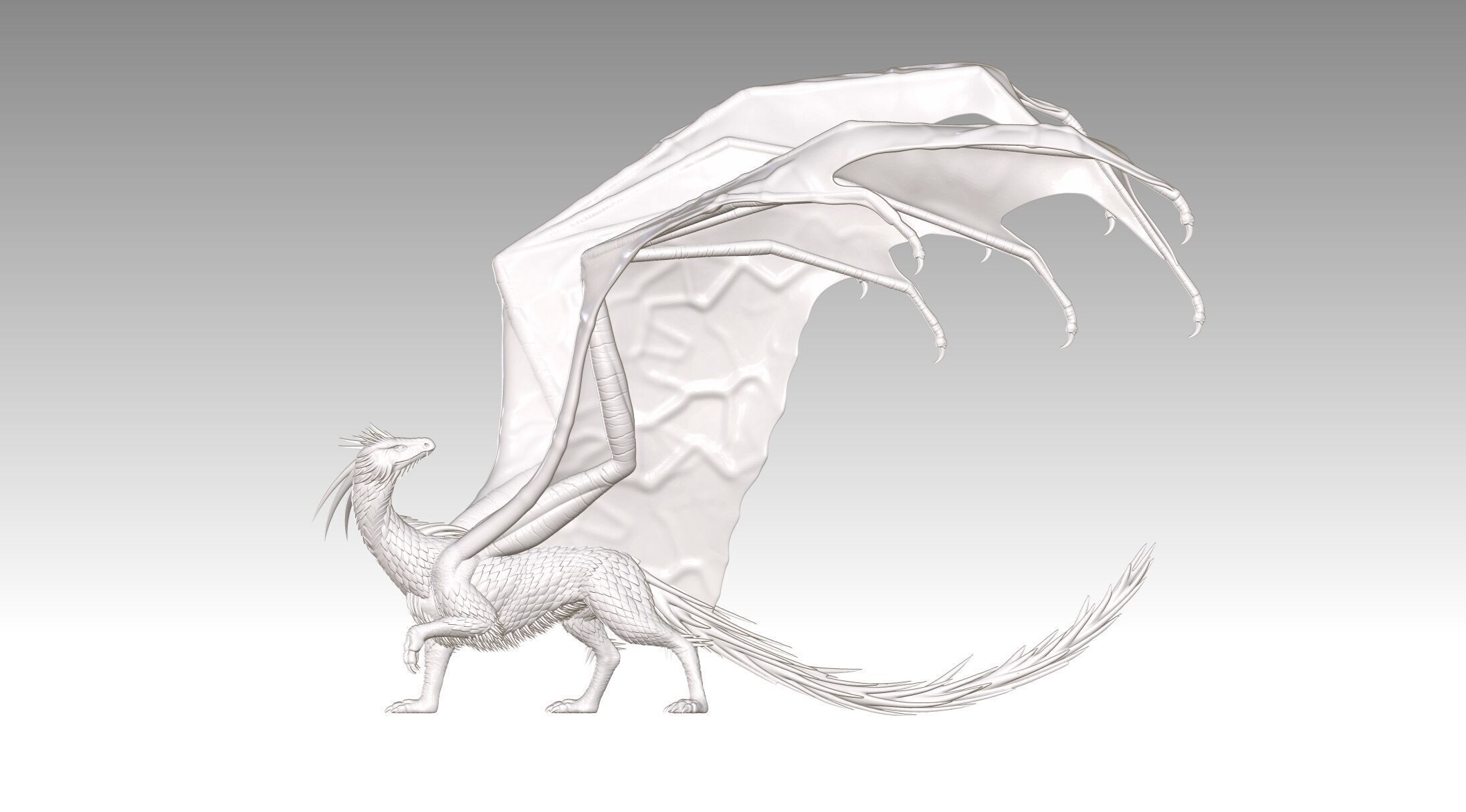 dragon 3D print model_12