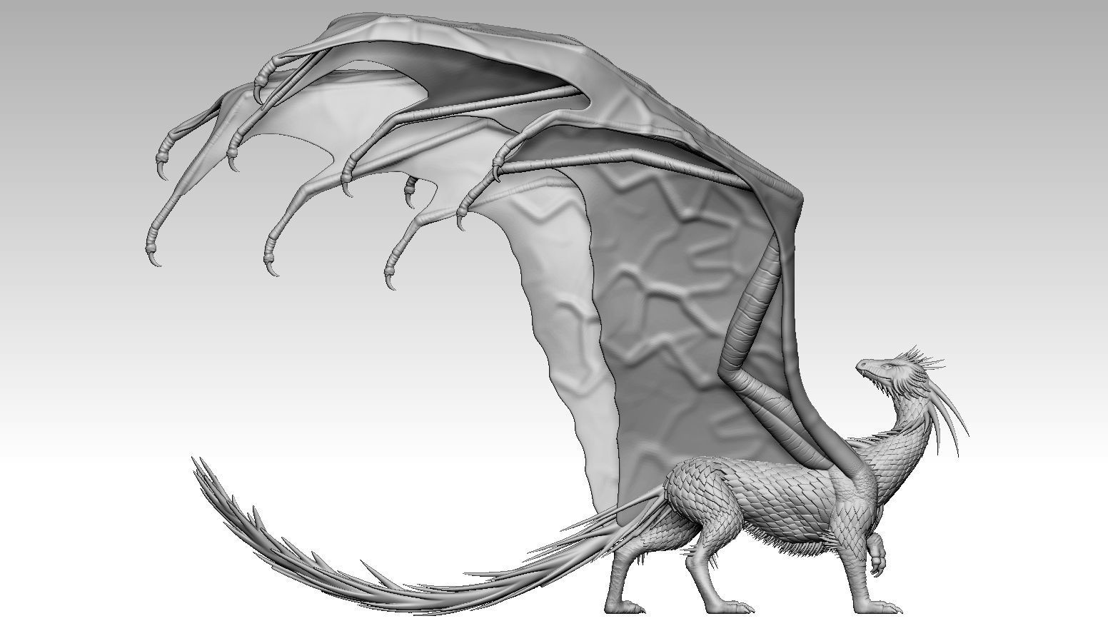 dragon 3D print model_6