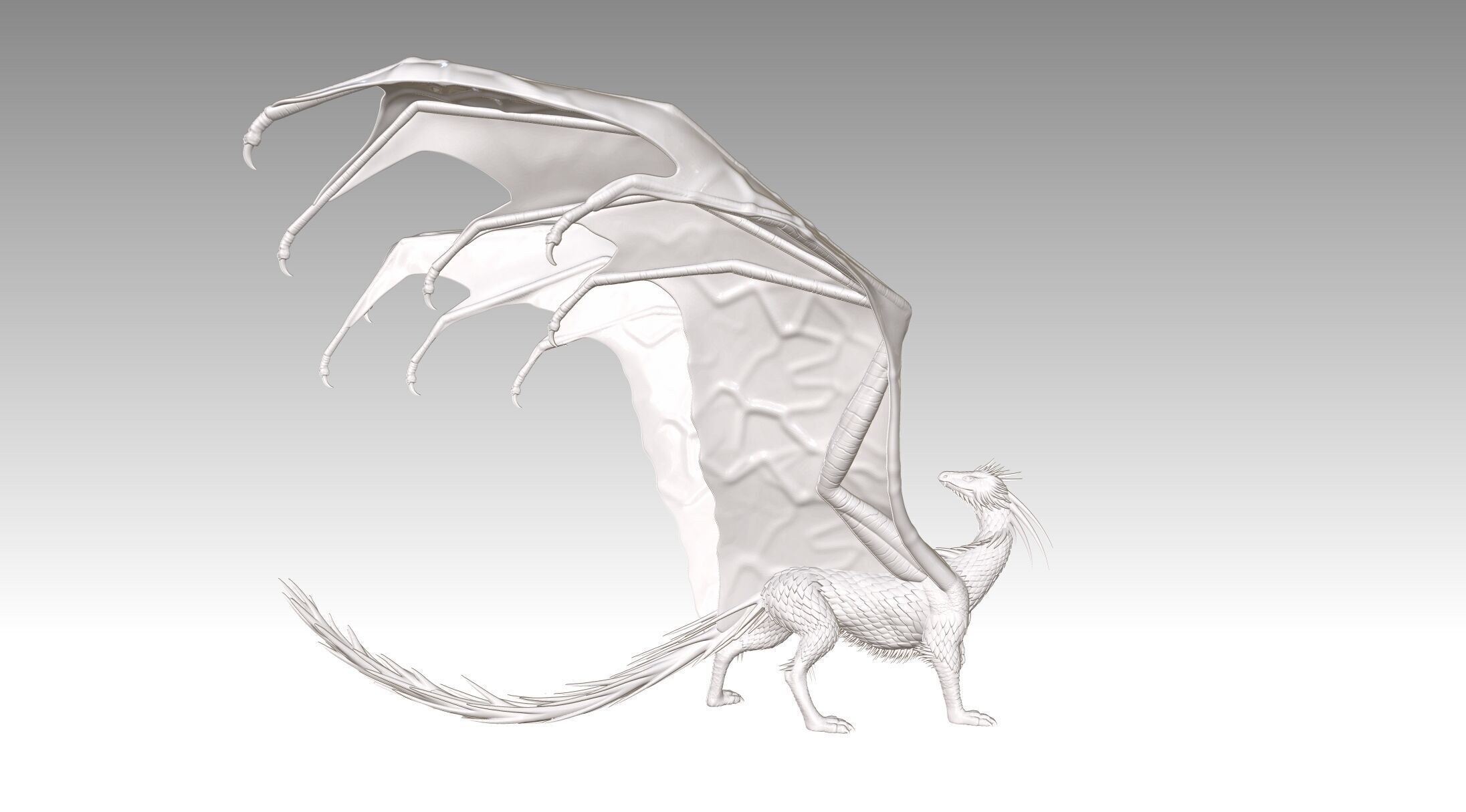 dragon 3D print model_19