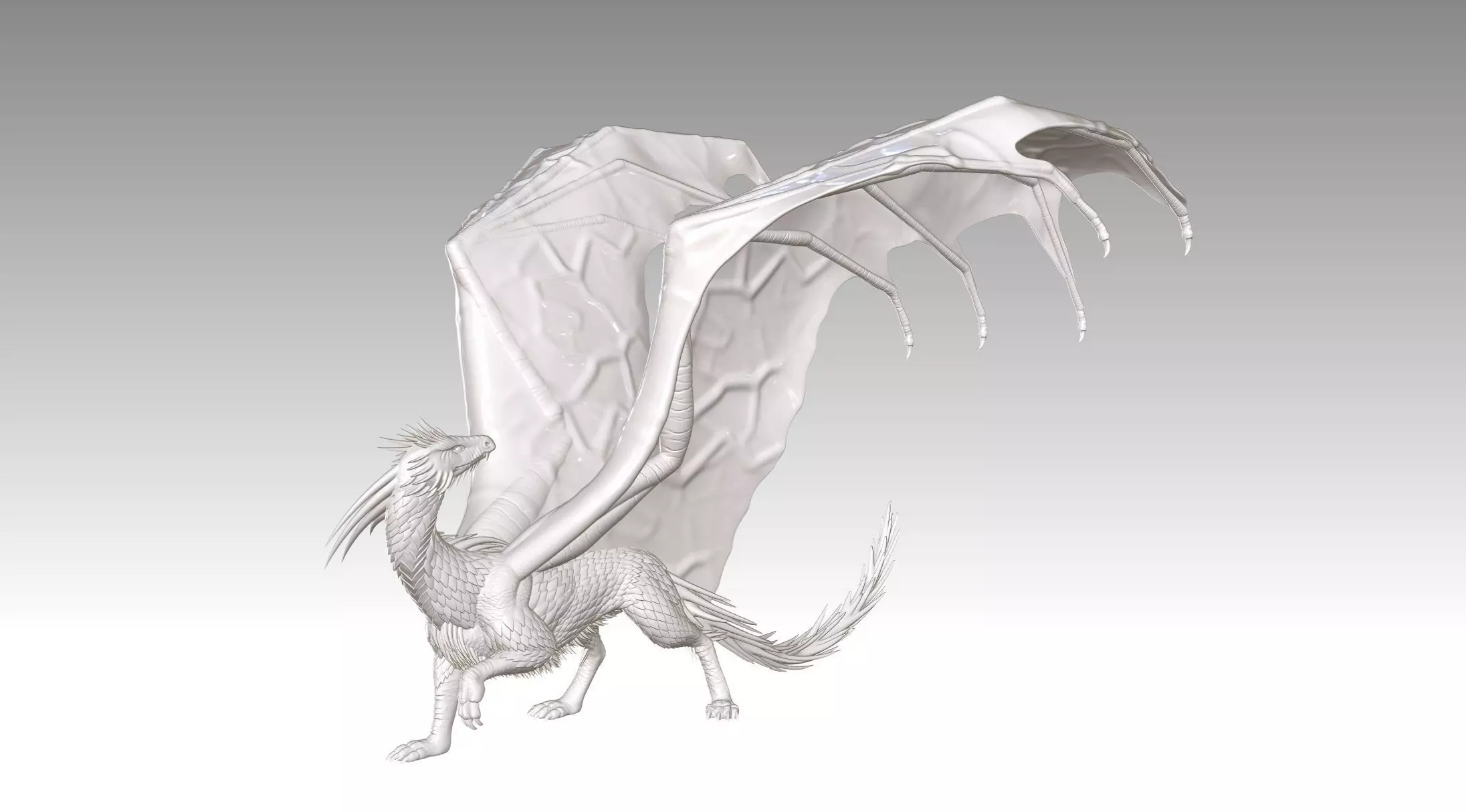 dragon 3D print model_0