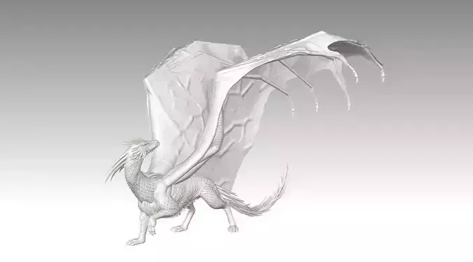dragon 3D print model