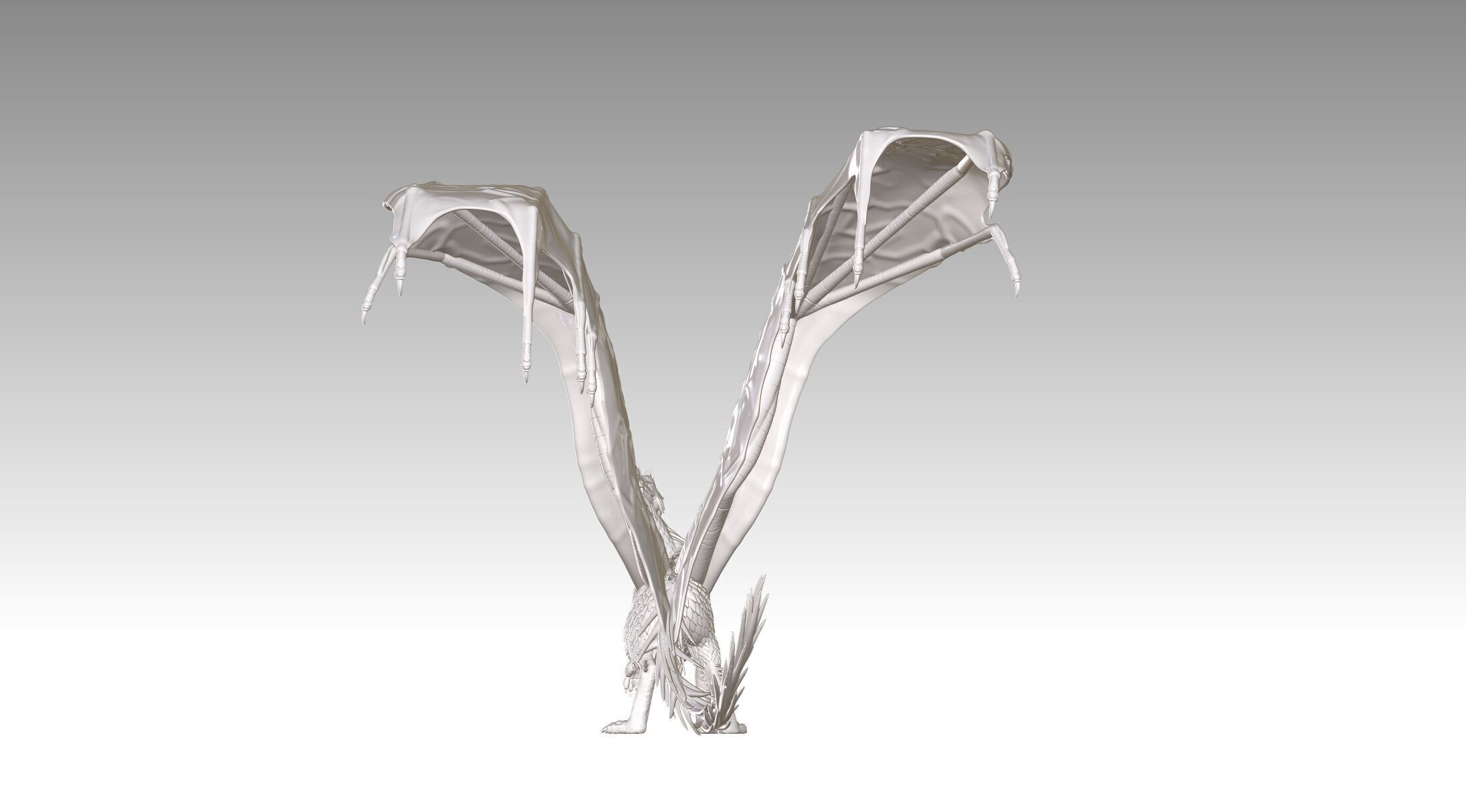 dragon 3D print model_16