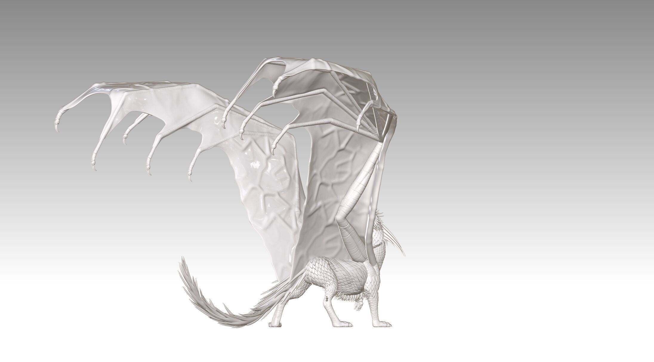 dragon 3D print model_11