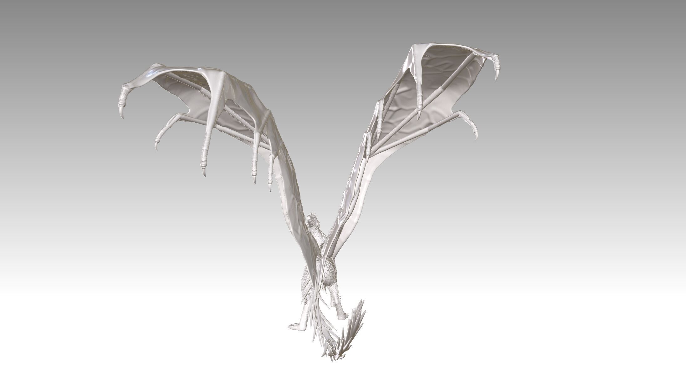 dragon 3D print model_20