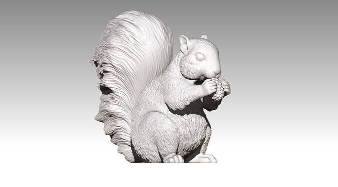 squirrel 3D print model
