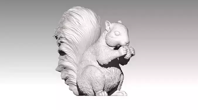 squirrel 3D print model