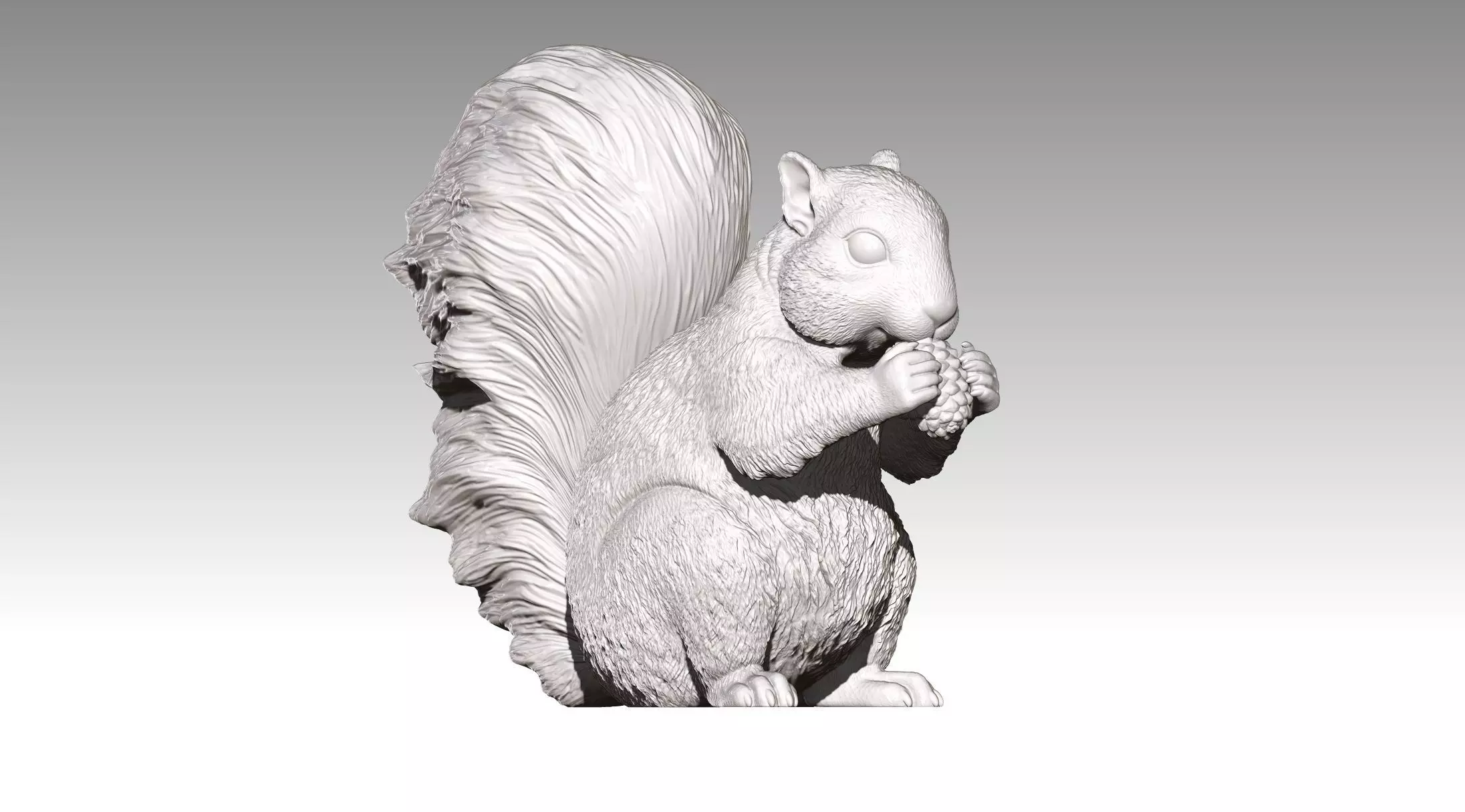 squirrel 3D print model_0