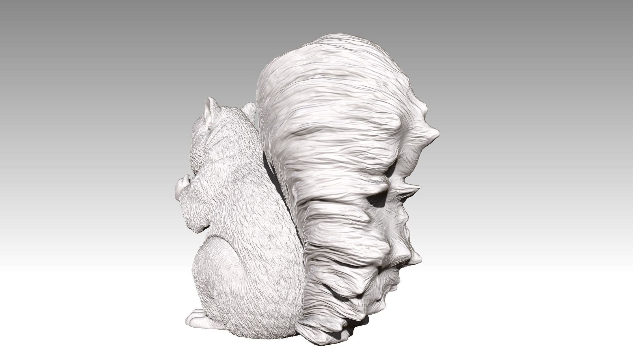 squirrel 3D print model_7