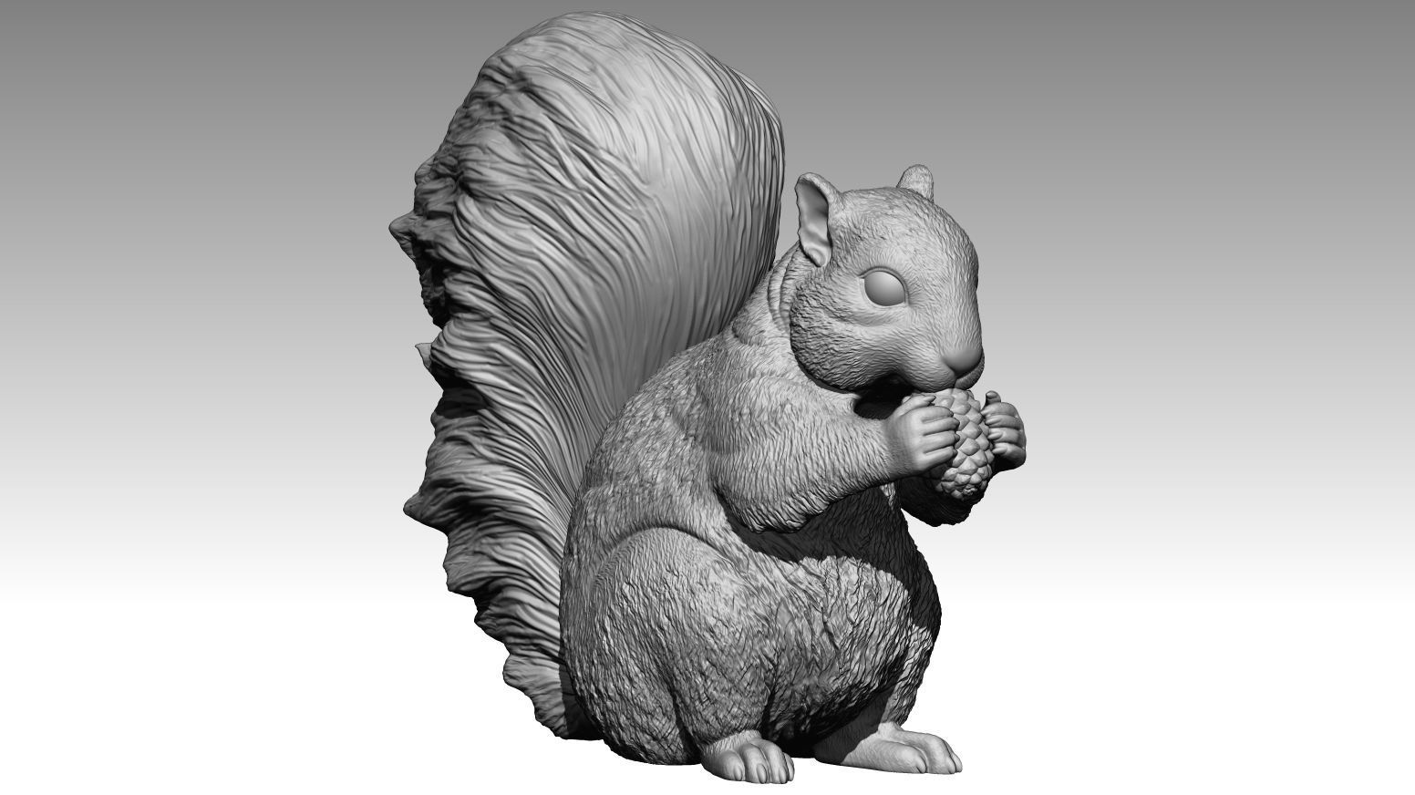 squirrel 3D print model_5