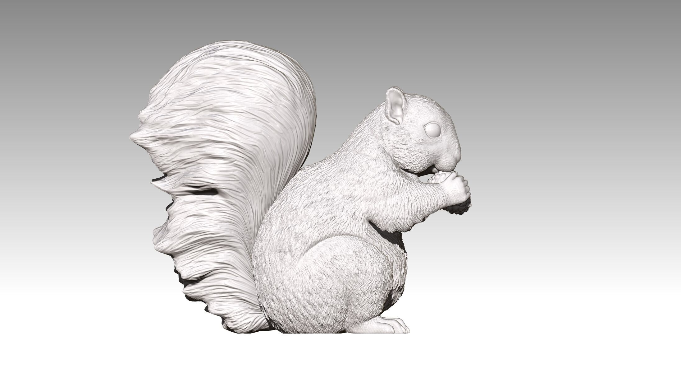 squirrel 3D print model_19