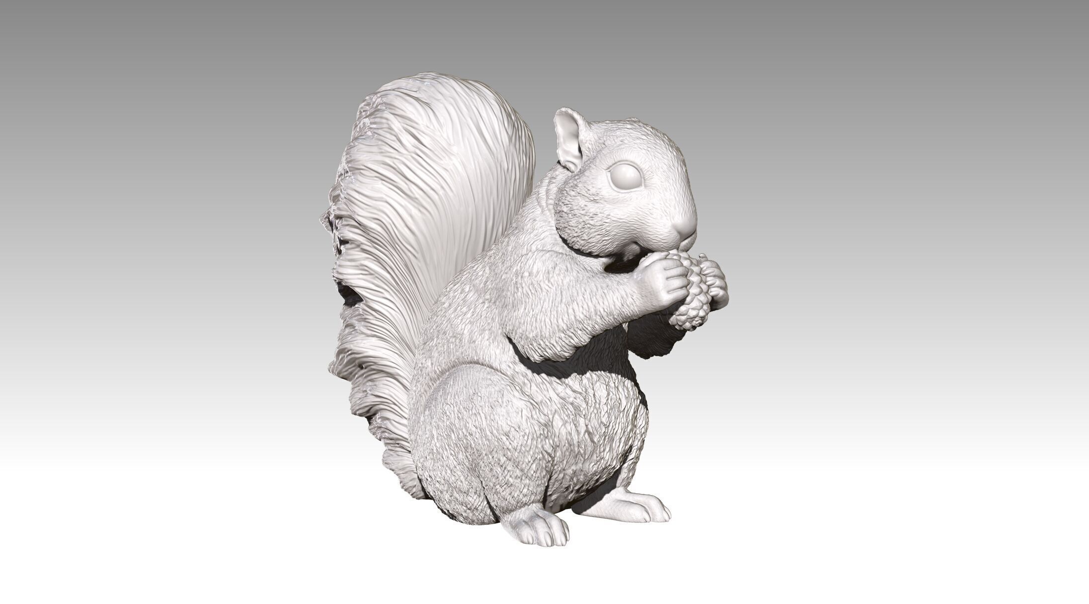squirrel 3D print model_9