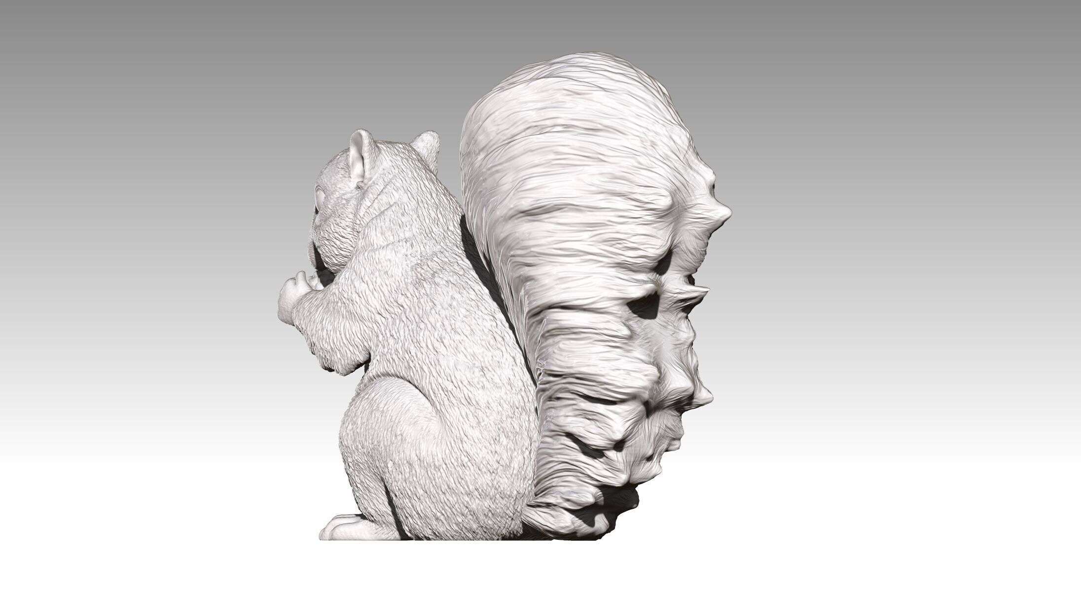 squirrel 3D print model_20
