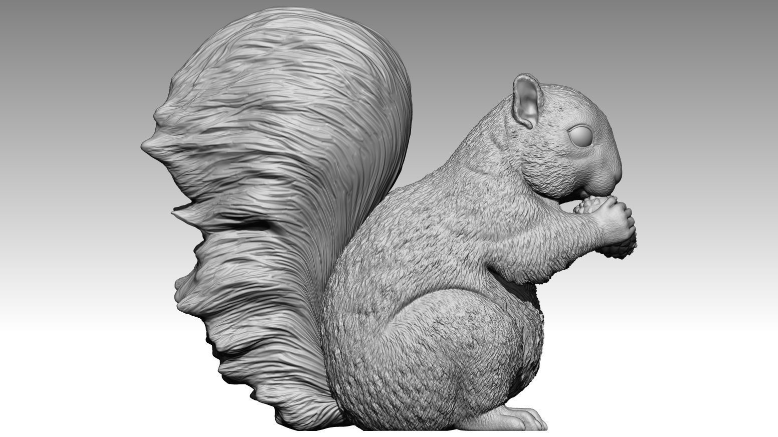 squirrel 3D print model_1