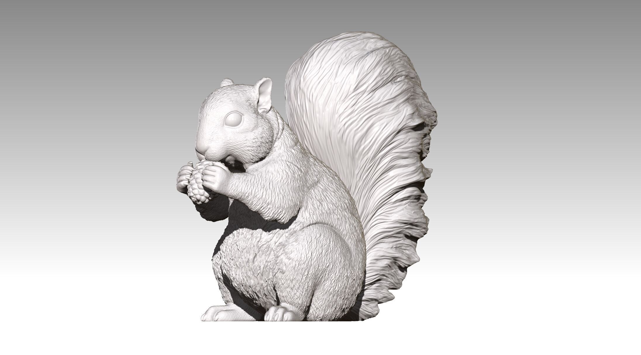 squirrel 3D print model_8