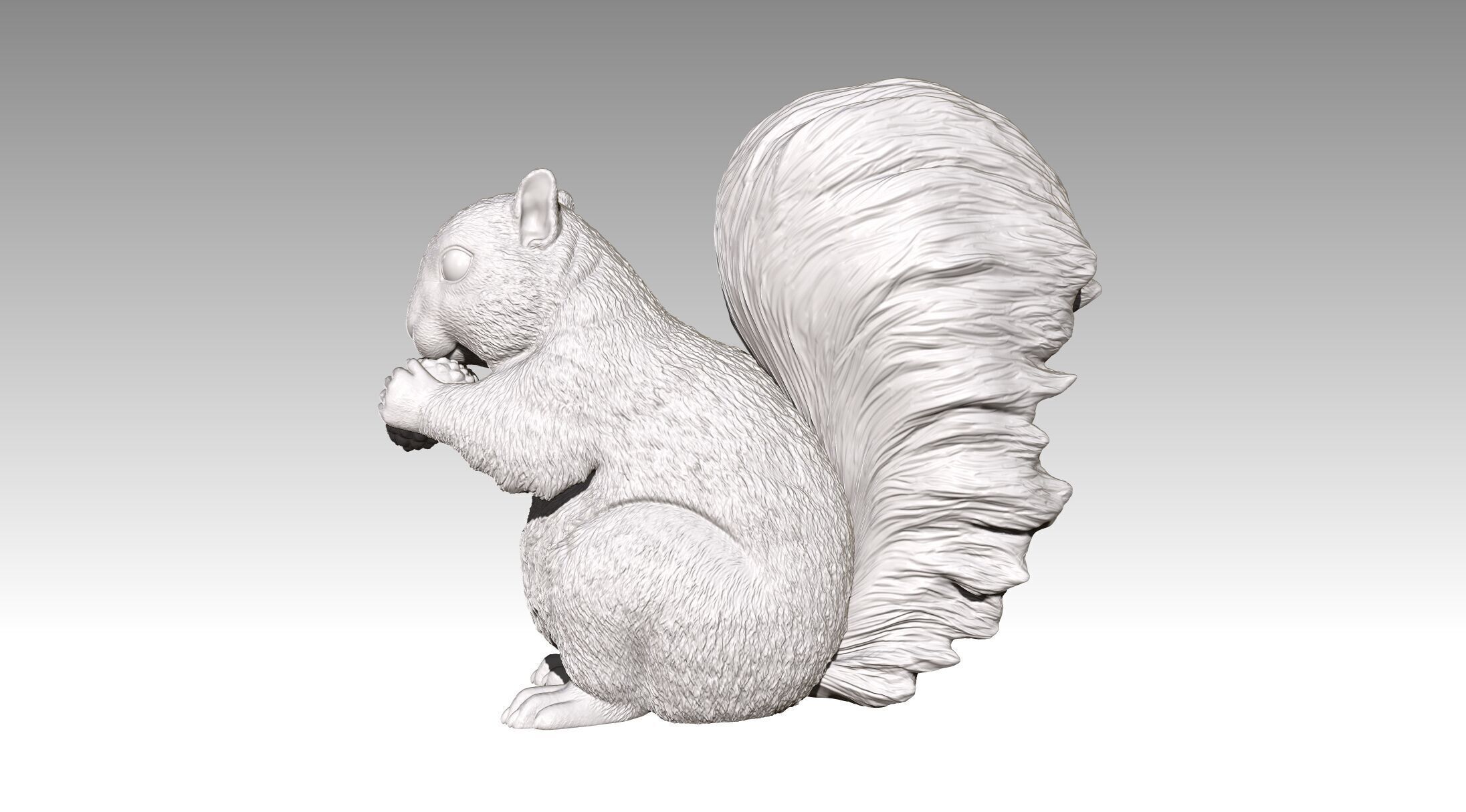 squirrel 3D print model_15