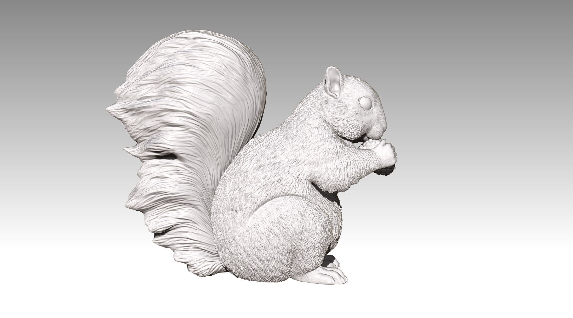 squirrel 3D print model_2