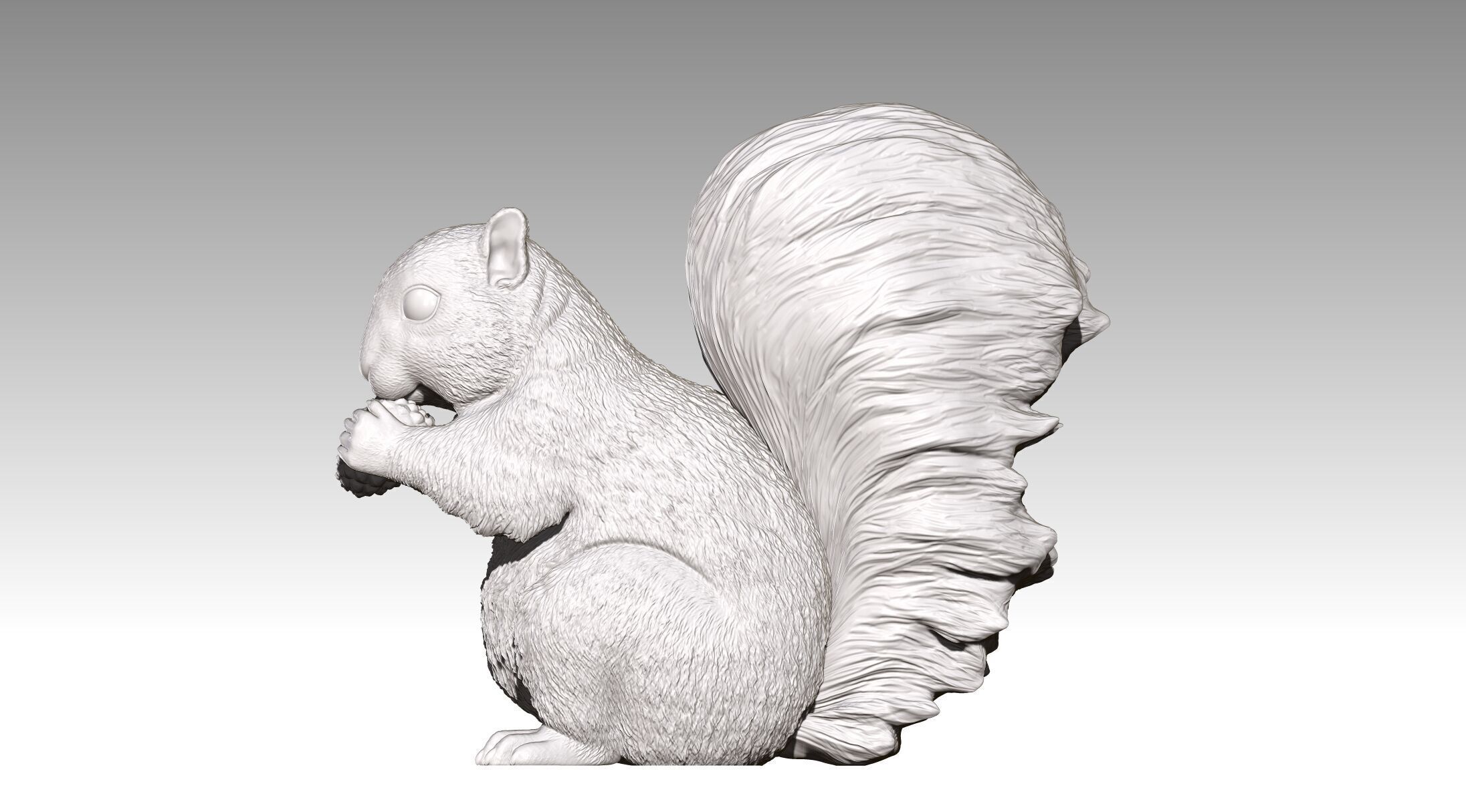 squirrel 3D print model_12
