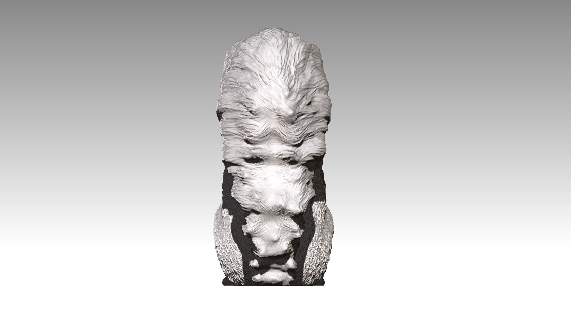 squirrel 3D print model_14