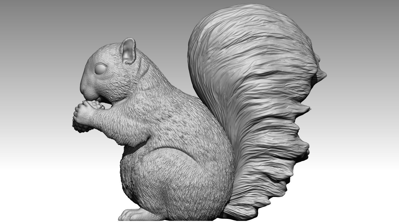 squirrel 3D print model_3